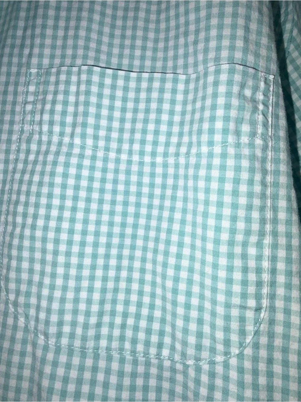 J. Crew Men’s Light Mint Gingham Button-Up Shirt